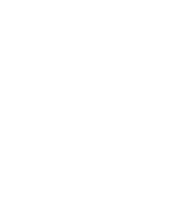 cerveceria artesanal